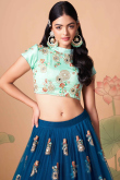 Resham Thread Embroidered Net Sea Blue Lehenga