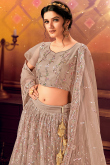 Resham Work Embroidered Net Light Brown Lehenga