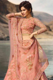 Rose Pink Net Lehenga with Net Choli