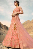 Rose Pink Net Lehenga with Net Choli