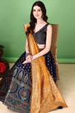 Woven Zari Panelled Lehenga in Rich Royal Blue Silk
