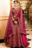 Ruby Pink Velvet Embroidered Panelled Style Lehenga