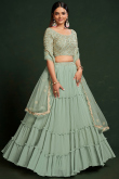 Sage Green Embroidered Georgette Flared Lehenga 
