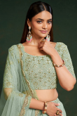 Sage Green Embroidered Georgette Flared Lehenga 