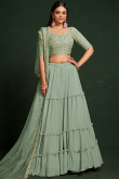 Sage Green Embroidered Georgette Flared Lehenga 