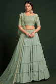 Sage Green Embroidered Georgette Flared Lehenga 