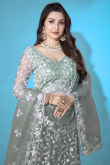 Sage Green Net Embroidered Panelled Style Lehenga