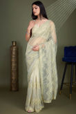 Sage Green Net Embroidered Shimmer Saree