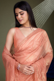 Salmon Orange Net Embroidered Shimmer Saree