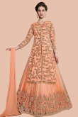 Salmon orange Net Lehenga with Net Choli