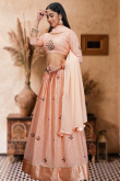Salmon Peach Embroidered Georgette Panelled Style Lehenga