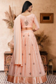 Salmon Peach Embroidered Georgette Panelled Style Lehenga