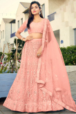Salmon Peach Mirror Embroidered Net Lehenga 