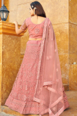 Salmon Peach Net Embroidered Panelled Style Lehenga 