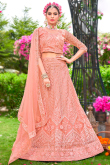 Salmon Peach Net Resham Embroidered Flared style Lehenga 