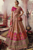 Salmon Peach Silk Dori Embroidered Panelled Lehenga
