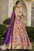 Salmon Peach Weaved Zari Flared Style Paithani Silk Lehenga