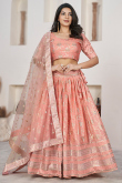 Salmon Peach Woven Zari Silk Flared Style Lehenga