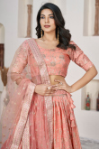Salmon Peach Woven Zari Silk Flared Style Lehenga