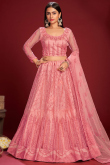 Salmon Pink Net A Line Lehenga