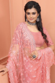Salmon Pink Traditional Net Saree for Party 