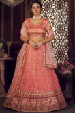 Salmon Pink Net Zari Embroidered Panelled Lehenga