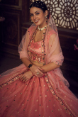 Salmon Pink Net Zari Embroidered Panelled Lehenga