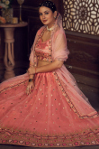 Salmon Pink Net Zari Embroidered Panelled Lehenga