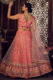Salmon Pink Net Zari Embroidered Panelled Lehenga