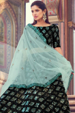 Sequins Embroidered Lycra Dark Black Lehenga