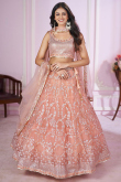 Sequins Embroidered Net Salmon Peach Panelled Lehenga