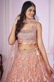 Sequins Embroidered Net Salmon Peach Panelled Lehenga