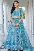 Sky Blue Net Sequins Embroidered Flared Style Lehenga