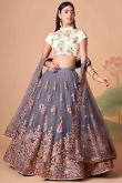 Steel Grey Resham Thread Embroidered Net A Line Lehenga