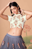 Steel Grey Resham Thread Embroidered Net A Line Lehenga