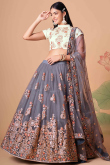 Steel Grey Resham Thread Embroidered Net A Line Lehenga
