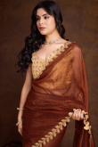 Stone Embellished Dark Brown Shimmer Organza Silk Saree