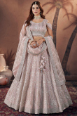 Stone Embellished Pale Pink Net Panelled Style Lehenga