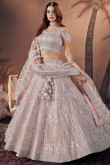 Stone Embellished Pale Pink Net Panelled Style Lehenga