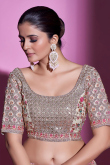 Stone Embroidered Net Cream Beige Lehenga