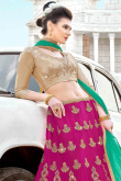 Zari Embroidered Net Ruby Pink Lehenga