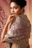 StoneEmbroidered Chinnon Mauve Taupe Saree