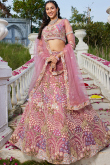 Taffy Pink Net Embroidered Panelled style Lehenga 