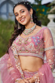 Taffy Pink Net Embroidered Panelled style Lehenga 