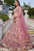 Taffy Pink Net Embroidered Panelled style Lehenga 
