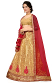 Thread Embroidered Net Dark Beige Lehenga