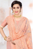 Thread Work Creamy Pink Net Embroidered Saree