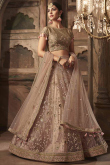 Thread Work Embroidered Net Beige Lehenga for Wedding & Party