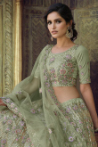 Thread Work Embroidered Net Sage Green Lehenga