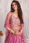 Thulian Pink Organza Embroidered Panelled Style Lehenga